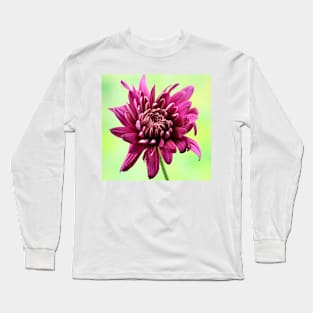 Purple chrysanthemum Long Sleeve T-Shirt